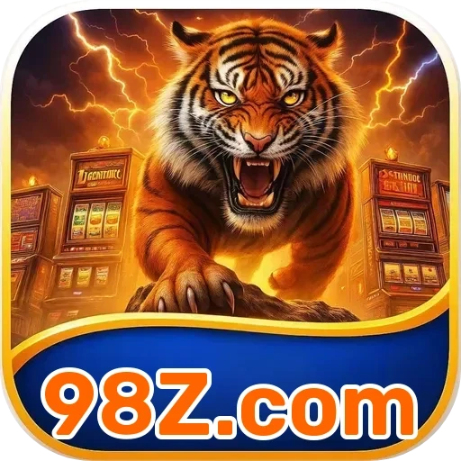 98Z.com Suporte 24/7